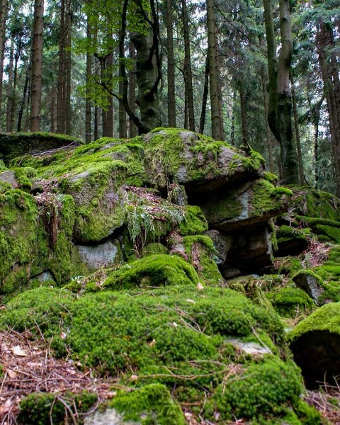 Einrückblock-Bild